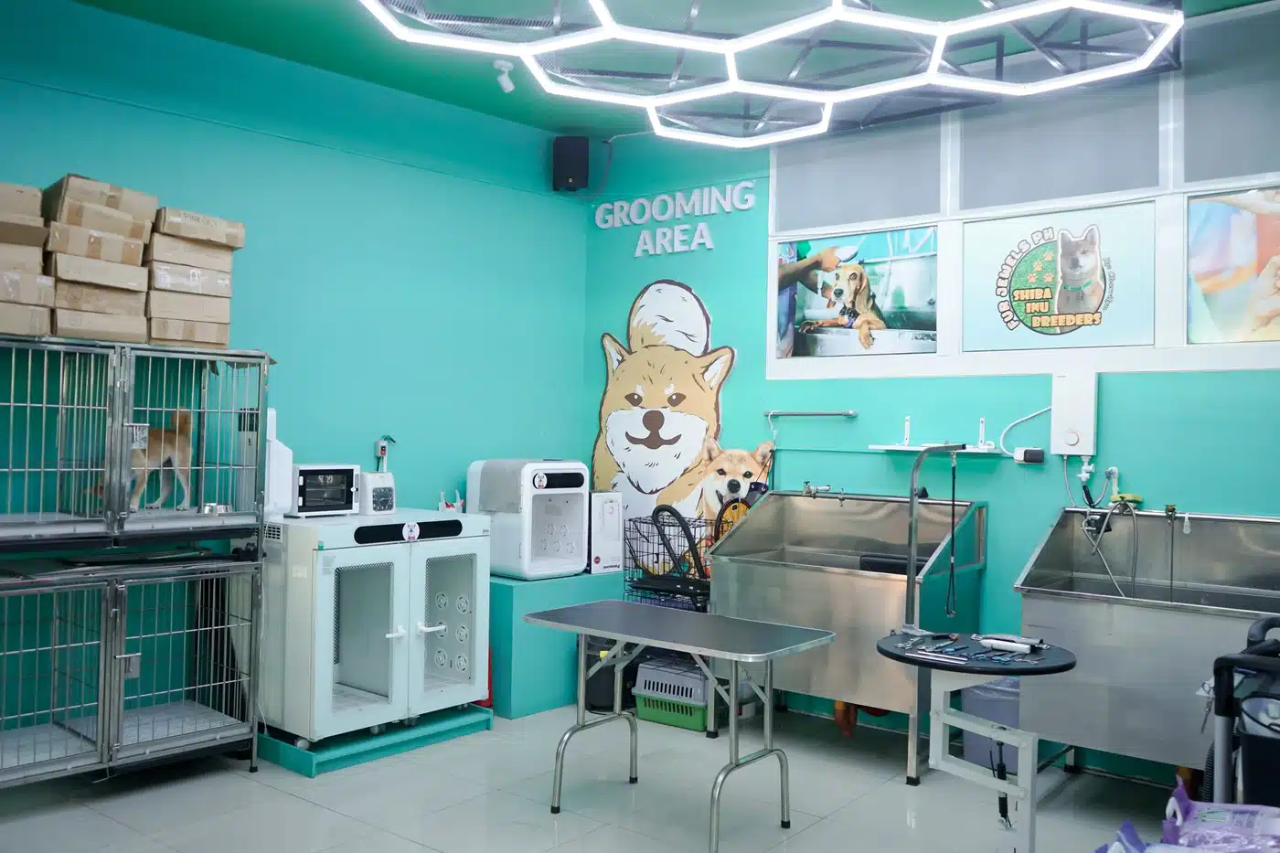 grooming area