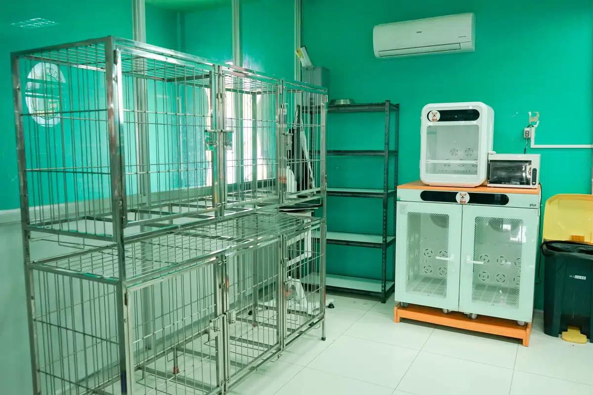 pet hotel cages