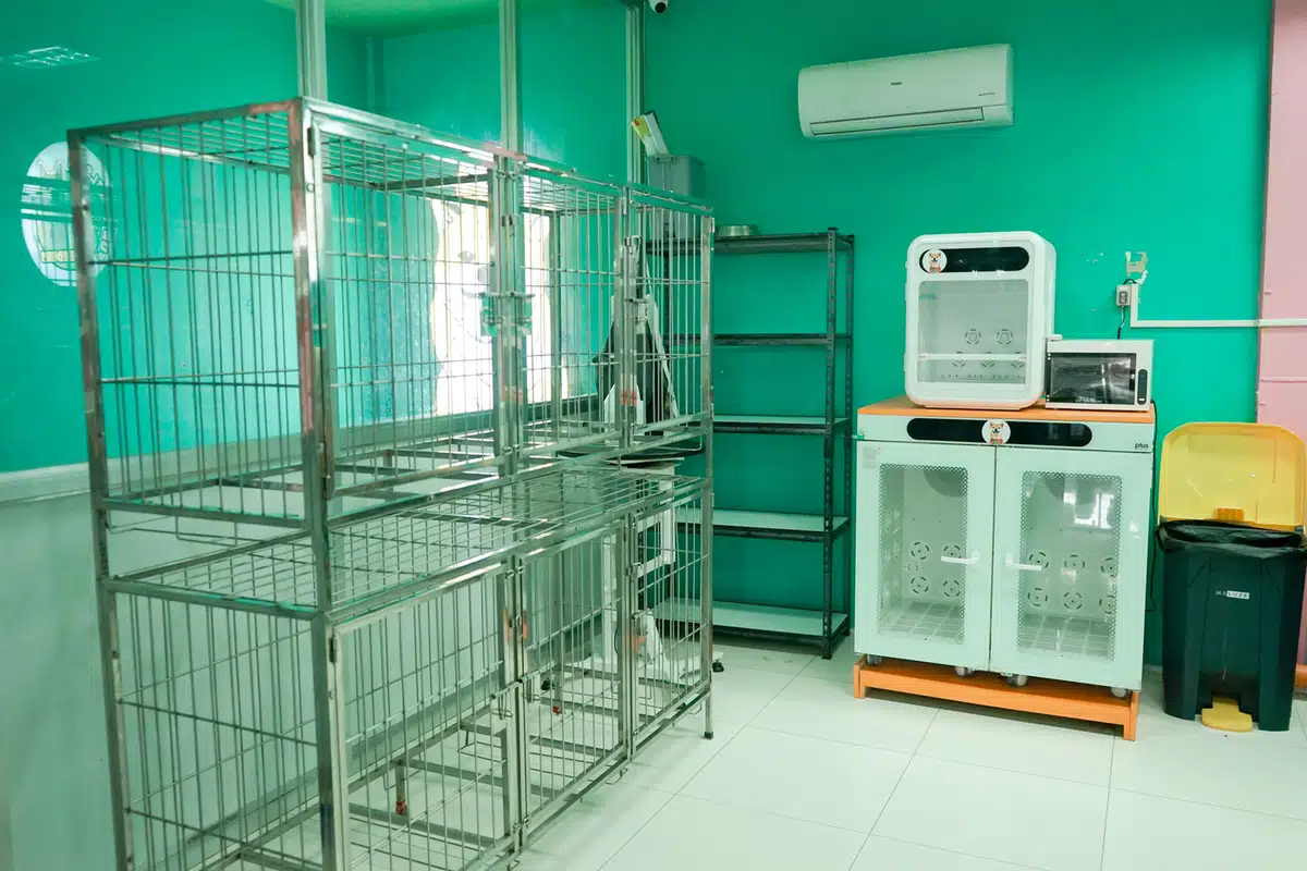 pet hotel cages